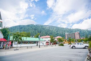 Photo 20: 415 EAGLE Street: Harrison Hot Springs House for sale : MLS®# R2213033