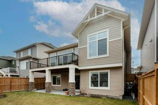 Photo 36: 2205 Bayside Road SW: Airdrie Detached for sale : MLS®# A2101416
