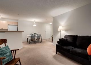 Photo 26: 4219 10 PRESTWICK Bay SE in Calgary: McKenzie Towne Apartment for sale : MLS®# A1219741