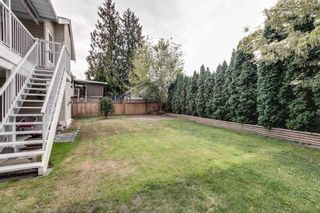 Photo 17: 23890 118A Avenue in Maple Ridge: Cottonwood MR House for sale : MLS®# R2303830
