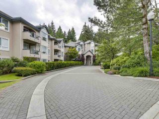 Photo 1: 303 3280 PLATEAU BOULEVARD in Coquitlam: Westwood Plateau Condo for sale : MLS®# R2275918