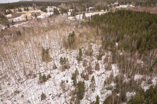 Photo 13: Lot 1 No 19 Highway in Troy: 306-Inverness County / Inverness Vacant Land for sale (Highland Region)  : MLS®# 202401367