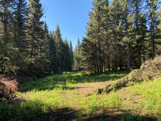 Photo 1: Lot 4 on south side of Jamieson Road in Rural Bighorn No. 8, M.D. of: Rural Bighorn M.D. Residential Land for sale : MLS®# A2021260