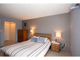 Photo 7: 309 4363 HALIFAX Street in Burnaby: Brentwood Park Condo for sale (Burnaby North)  : MLS®# V1004797