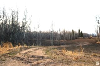 Photo 7: 225 50072 Rge Rd 205: Rural Camrose County Vacant Lot/Land for sale : MLS®# E4375806