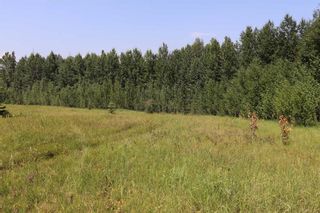 Photo 8: 2 53018 Range Road 175 in Rural Yellowhead County: Rural Yellowhead Residential Land for sale : MLS®# A2067593