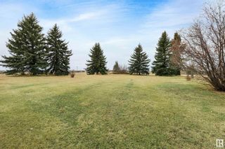 Photo 44: 1 54427 RGE RD 250: Rural Sturgeon County House for sale : MLS®# E4383483