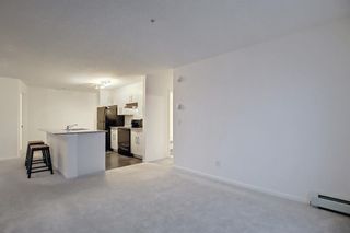 Photo 14: 1516 4641 128 Avenue NE in Calgary: Skyview Ranch Apartment for sale : MLS®# A1192519