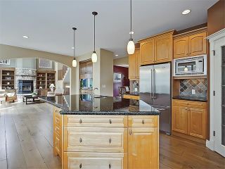 Photo 14: 18 DISCOVERY RIDGE Heath SW in Calgary: Discovery Ridge House for sale : MLS®# C4110959