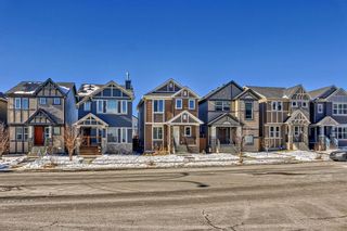 Photo 41: 261 Skyview Ranch Boulevard NE in Calgary: Skyview Ranch Detached for sale : MLS®# A2109080