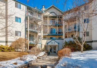 Main Photo: 201 20 Dover Point SE in Calgary: Dover Apartment for sale : MLS®# A2031135