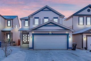 Main Photo: 251 Copperfield Green SE in Calgary: Copperfield Detached for sale : MLS®# A2113992