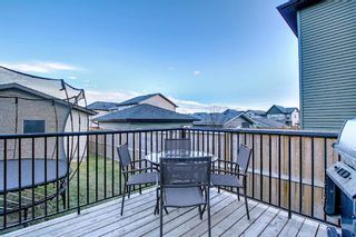 Photo 45: 82 Nolan Hill Drive NW in Calgary: Nolan Hill Detached for sale : MLS®# A1042013