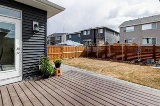 Photo 32: 67 Howse Road NE in Calgary: Livingston Detached for sale : MLS®# A1212841