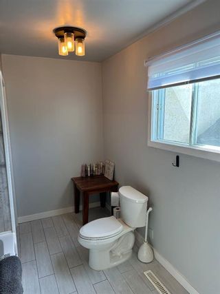 Photo 26: 307 6 Avenue S: Three Hills Detached for sale : MLS®# A2120601