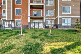 Photo 23: 101 40 walgrove Walk in Calgary: Walden Apartment for sale : MLS®# A2129045