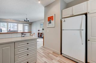 Photo 14: 12 105 24 Avenue SW in Calgary: Mission Apartment for sale : MLS®# A1256085