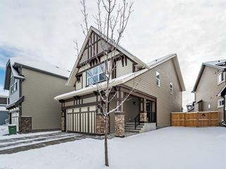 Photo 1: 87 Masters Place SE in Calgary: Mahogany Detached for sale : MLS®# A1183560
