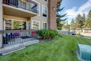 Photo 19: 512 860 Midridge Drive SE in Calgary: Midnapore Apartment for sale : MLS®# A1243994
