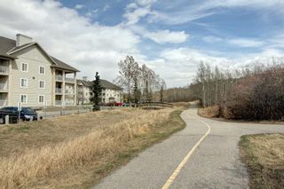 Photo 17: 306 3000 Citadel Meadow Point NW in Calgary: Citadel Apartment for sale : MLS®# A1244285