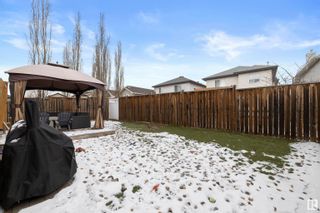 Photo 36: 3716 161 Avenue in Edmonton: Zone 03 House for sale : MLS®# E4379077