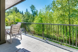 Photo 15: 24136 McClure Street in Maple Ridge: Albion House for sale : MLS®# R2169787