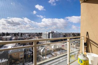 Photo 22: 509 3410 20 Street SW in Calgary: South Calgary Apartment for sale : MLS®# A1193852