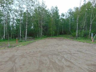 Photo 7: Lot 10 27331 Township Road: Rural Leduc County Rural Land/Vacant Lot for sale : MLS®# E4254983