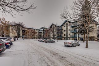 Photo 1: 214 10 Dover Point SE in Calgary: Dover Apartment for sale : MLS®# A2030038