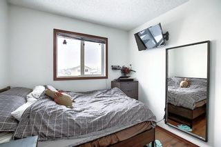 Photo 31: 47 Appleburn Close SE in Calgary: Applewood Park Detached for sale : MLS®# A1049300