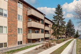 Photo 1: 931 11620 Elbow Drive SW in Calgary: Canyon Meadows Apartment for sale : MLS®# A2126661