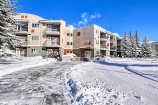 Photo 1: 216 69 Springborough Court SW in Calgary: Springbank Hill Apartment for sale : MLS®# A2011197