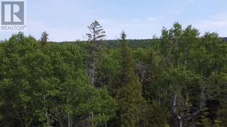 Photo 14: 2989 540 Highway in Honora Bay: Vacant Land for sale : MLS®# 2111341
