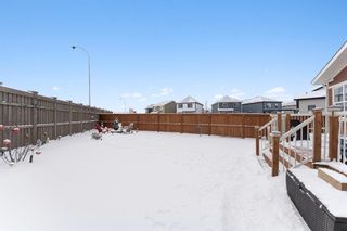 Photo 35: 208 Masters Crescent SE in Calgary: Mahogany Detached for sale : MLS®# A1170105