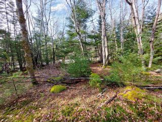 Photo 19: Lot Bowers Road in Lower Ohio: 407-Shelburne County Vacant Land for sale (South Shore)  : MLS®# 202302336