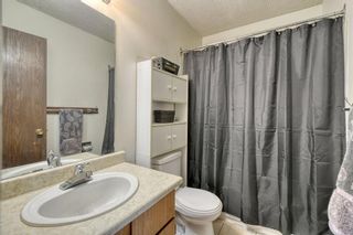 Photo 22: 124 Bedford Circle NE in Calgary: Beddington Heights Detached for sale : MLS®# A1190754