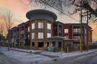 Photo 1: 106 117 19 Avenue NE in Calgary: Tuxedo Park Apartment for sale : MLS®# A2118272
