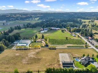 Photo 5: 5290 OLUND Road in Abbotsford: Bradner Agri-Business for sale in "SEASIDE PEARL FARMGATE WINERY" : MLS®# C8054389