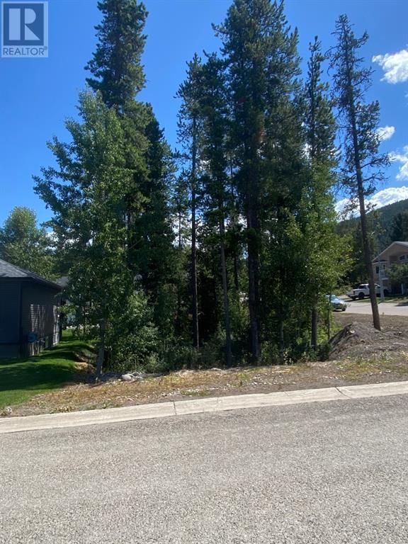 Main Photo: 1813 112 Street in Blairmore: Vacant Land for sale : MLS®# A2027081