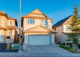 Photo 42: 248 EVANSBROOKE Way NW in Calgary: Evanston Detached for sale : MLS®# A1221592