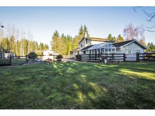 Photo 17: 24697 48B Avenue in Langley: Salmon River House for sale in "STRAWBERRY HILLS" : MLS®# F1326525