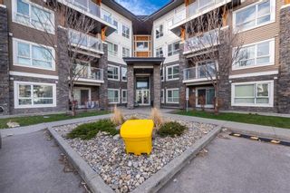 Main Photo: 3111 240 SKYVIEW RANCH Road NE in Calgary: Skyview Ranch Apartment for sale : MLS®# A2126720