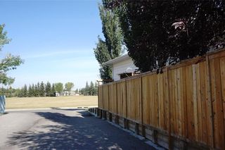 Photo 34: 79 ERIN Crescent SE in Calgary: Erin Woods Detached for sale : MLS®# C4204669