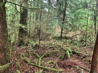 Photo 17: Lot 61 Busby Island in Sonora Island: Isl Small Islands (Campbell River Area) Land for sale (Islands)  : MLS®# 893766