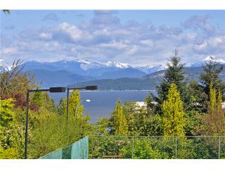Photo 4: 4818 W Fannin Avenue in Vancouver: Point Grey House for sale (Vancouver West)  : MLS®# V1054798