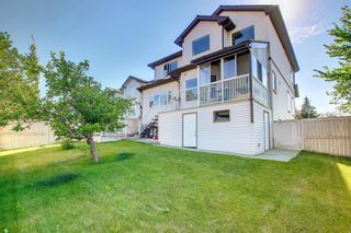 Photo 49: 253 Edgebrook Grove NW in Calgary: Edgemont Detached for sale : MLS®# A1252391