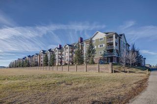 Photo 25: 2104 10 Prestwick Bay SE in Calgary: McKenzie Towne Apartment for sale : MLS®# A2091292