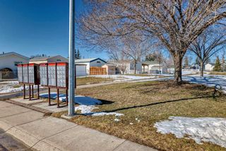 Photo 32: 173 Erin Woods Circle SE in Calgary: Erin Woods Detached for sale : MLS®# A2120375