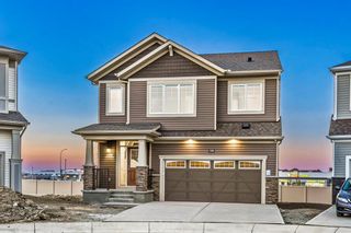 Main Photo: 139 Cityside Court NE in Calgary: Cityscape Detached for sale : MLS®# A2005100