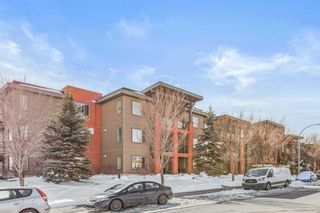 Photo 23: 213 2727 28 Avenue SE in Calgary: Dover Apartment for sale : MLS®# A2118186